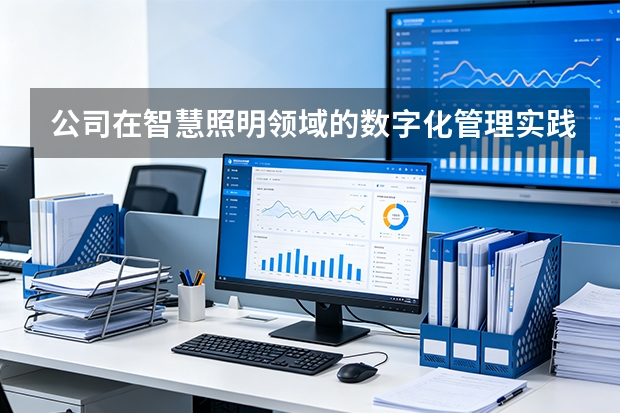公司在智慧照明领域的数字化管理实践？