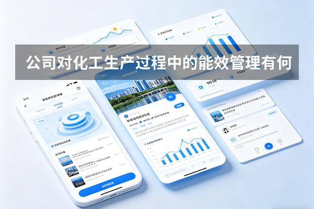 公司对化工生产过程中的能效管理有何细化措施？